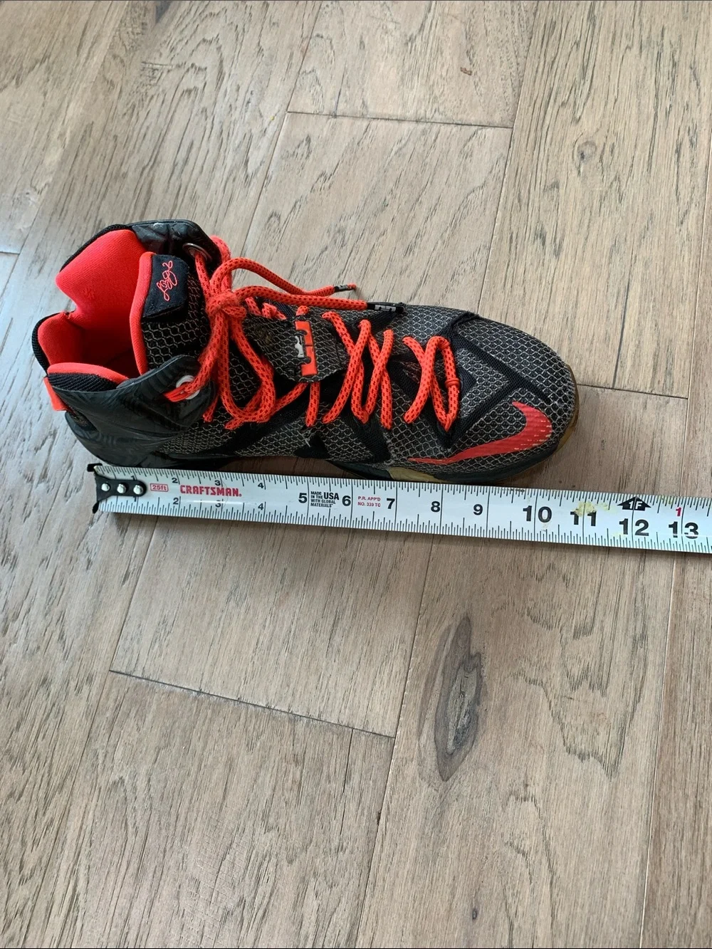 Nike James Lebron XII Instinct Basketball Shoes